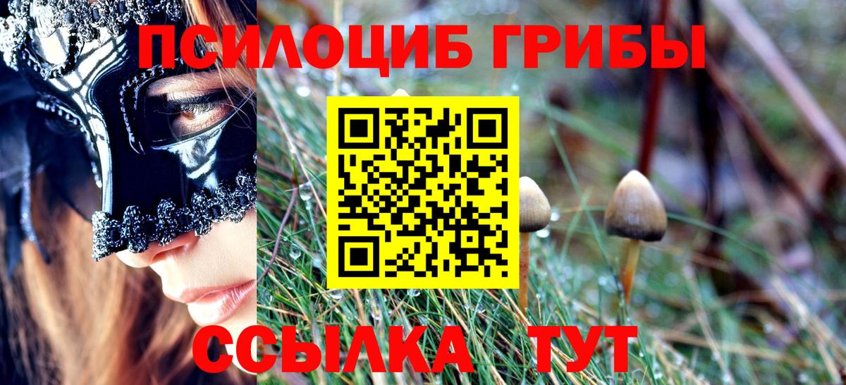 Галлюциногенные грибы Psilocybe  Вход с VPN  Симферополь  купить закладку  Галлюциногенные грибы GOLDEN TEACHER 